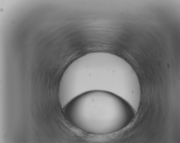 X0000063480045200601271706