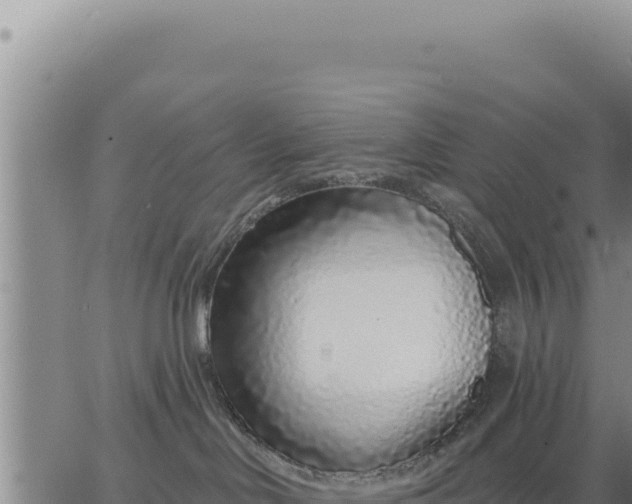 X0000063480046200601271706