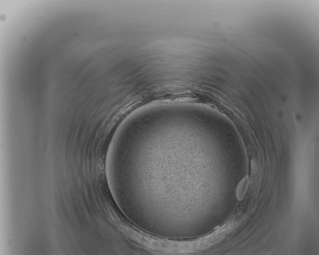 X0000063480048200601271706