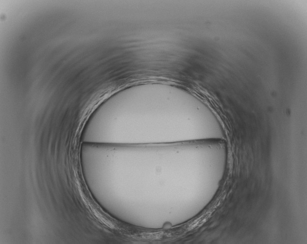 X0000063480049200601271705