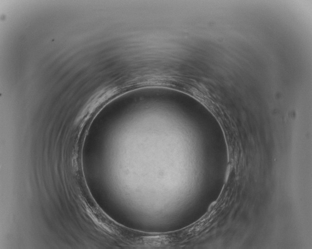 X0000063480050200601271705