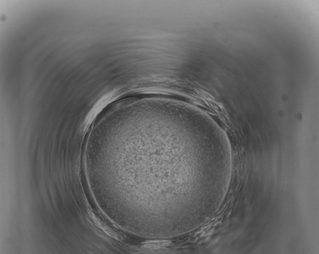 X0000063480051200601271705