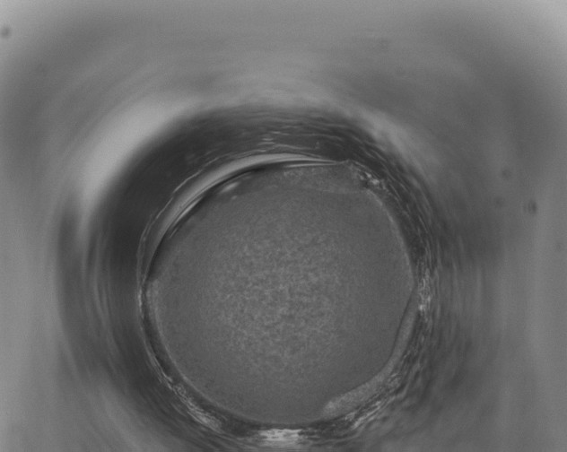 X0000063480052200601271705