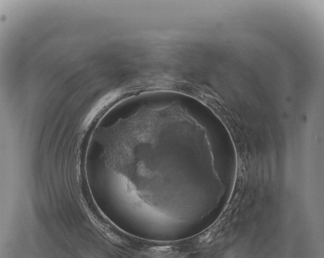 X0000063480054200601271705