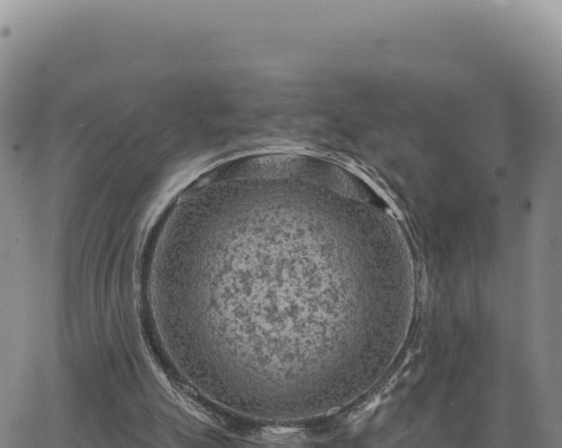 X0000063480055200601271705