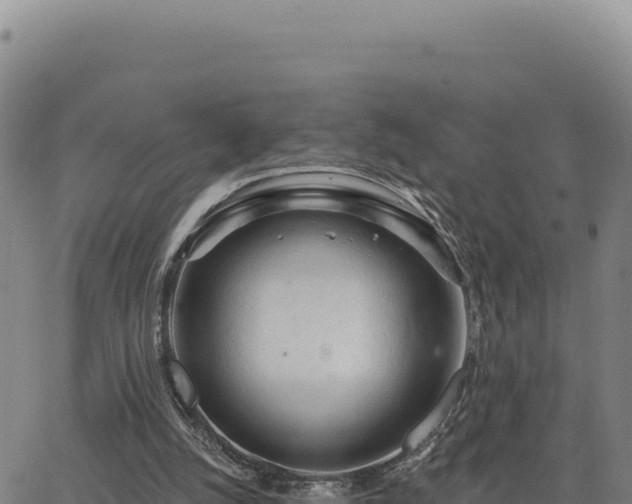 X0000063480056200601271705