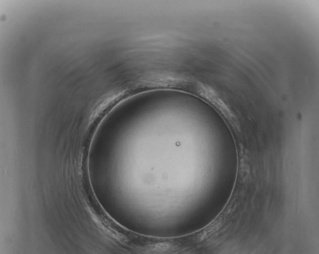 X0000063480058200601271705