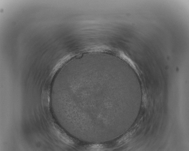 X0000063480059200601271705