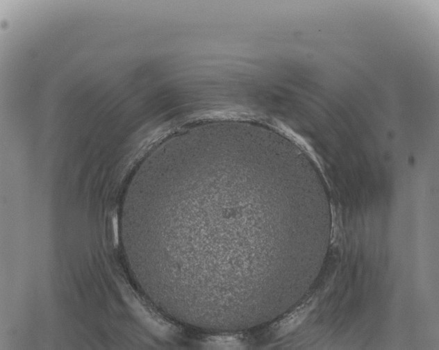 X0000063480061200601271705