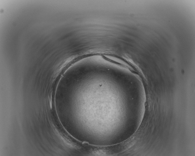 X0000063480062200601271705