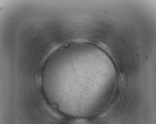 X0000063480063200601271705