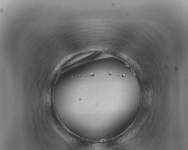 X0000063480064200601271705