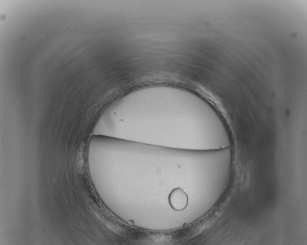 X0000063480065200601271705