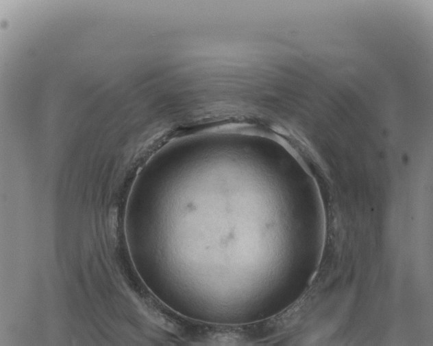 X0000063480066200601271705