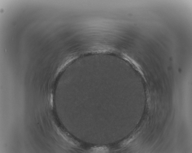 X0000063480067200601271705