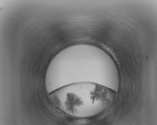 X0000063480069200601271705