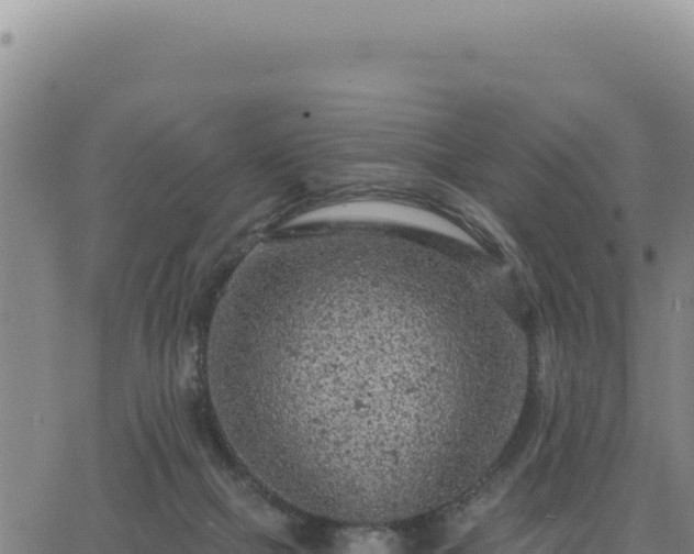 X0000063480073200601271705