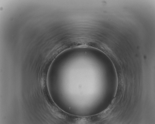 X0000063480074200601271705