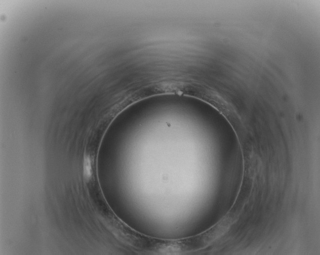 X0000063480075200601271705