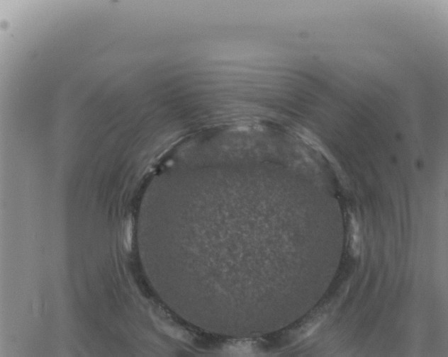 X0000063480076200601271705