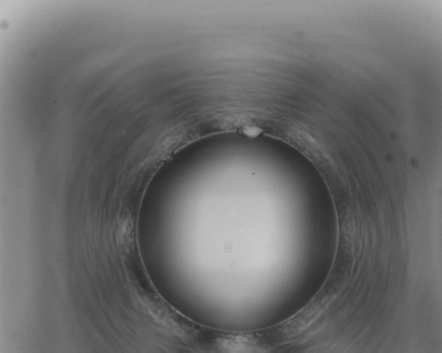 X0000063480079200601271705