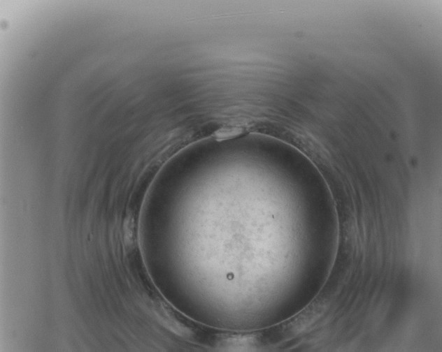 X0000063480081200601271705