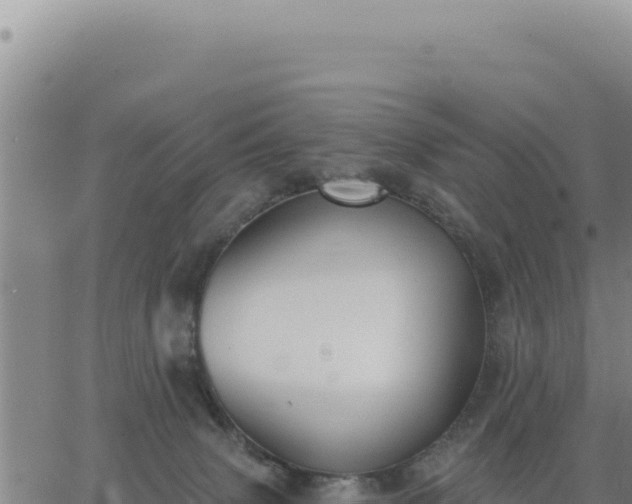 X0000063480083200601271705