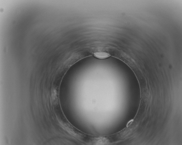 X0000063480087200601271705