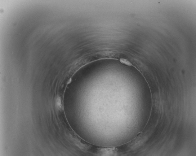 X0000063480089200601271705