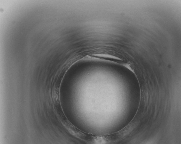 X0000063480091200601271705