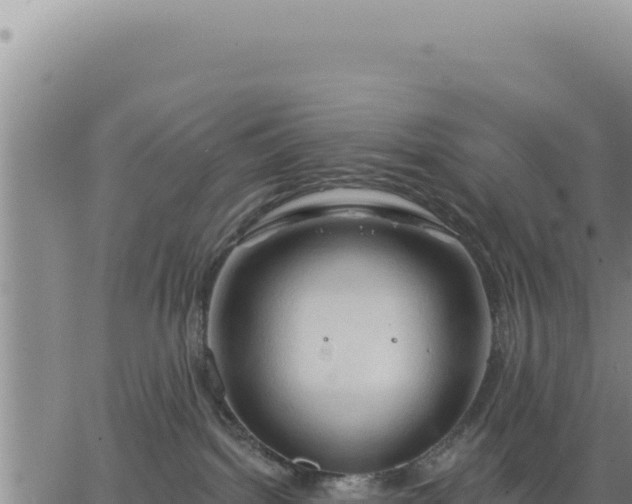 X0000063480092200601271705