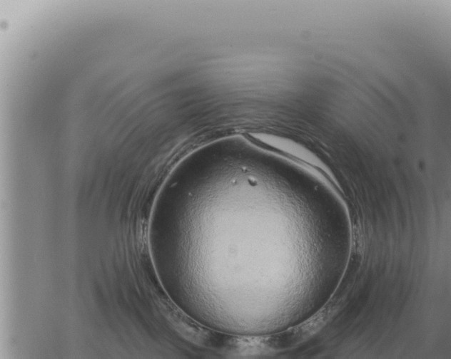 X0000063480093200601271705