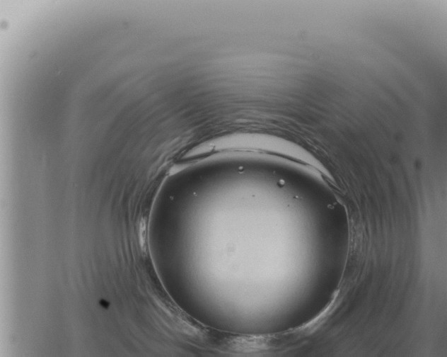 X0000063480094200601271705