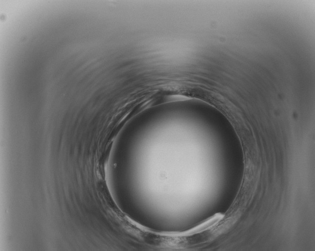 X0000063480096200601271706