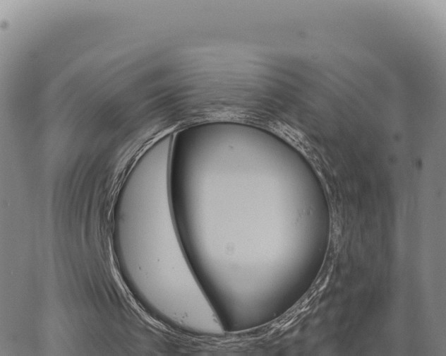 X0000063480097200601271705