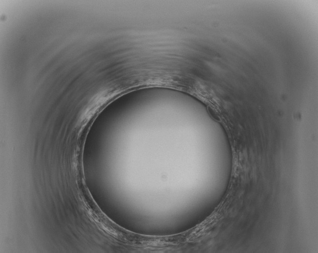 X0000063480098200601271705