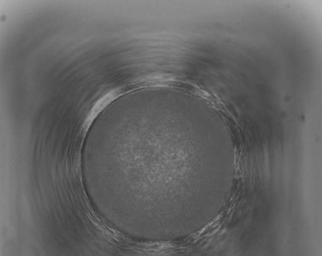 X0000063480099200601271705