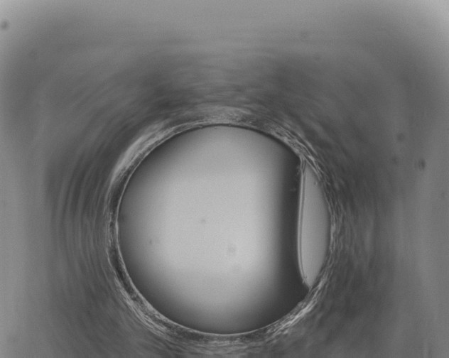 X0000063480101200601271705