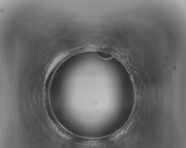 X0000063480102200601271705