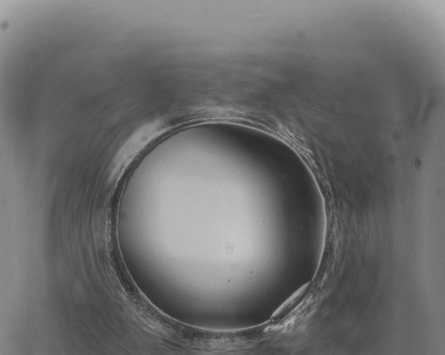 X0000063480103200601271705