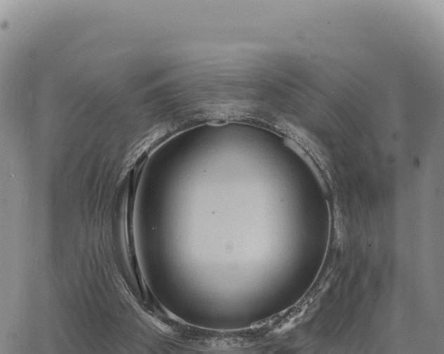 X0000063480105200601271705