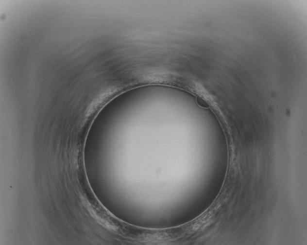 X0000063480106200601271705