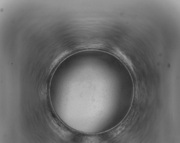 X0000063480107200601271705