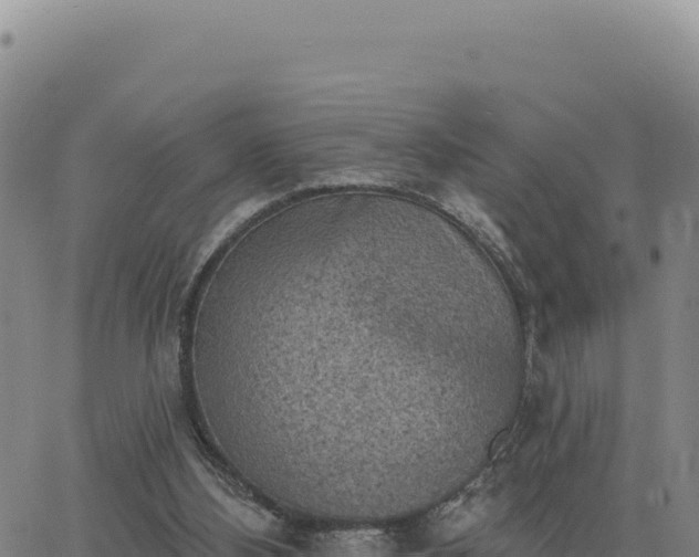 X0000063480108200601271705