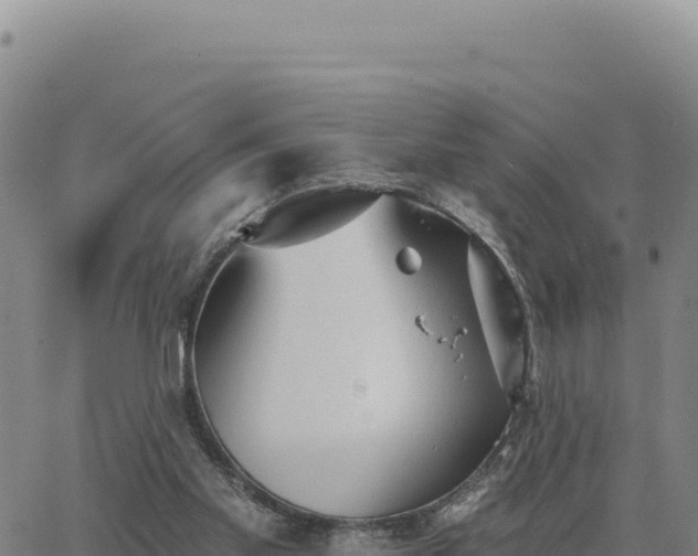 X0000063480109200601271705