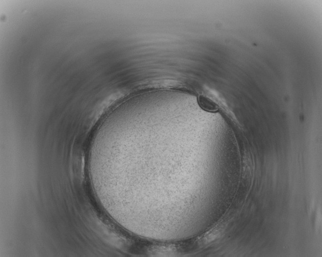 X0000063480110200601271705