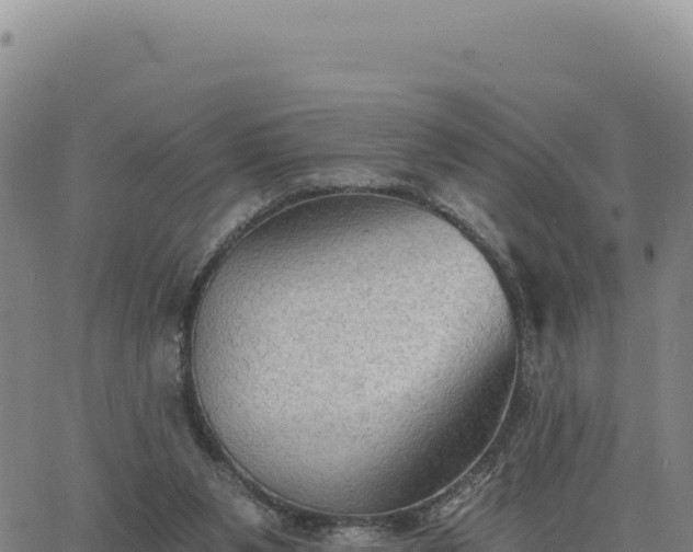 X0000063480111200601271705