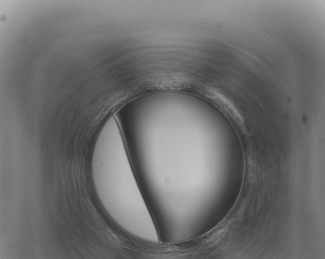 X0000063480113200601271704