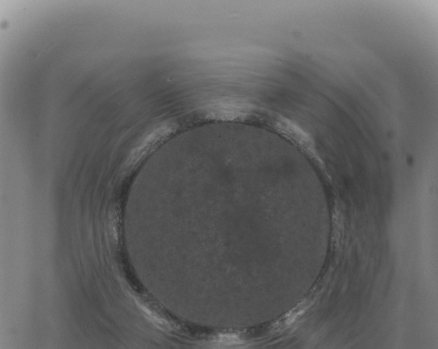 X0000063480114200601271704