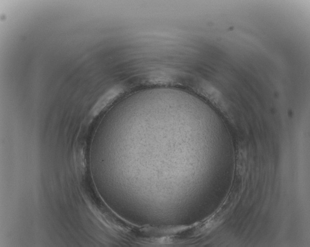 X0000063480116200601271704